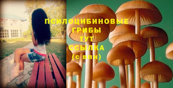 каннабис Медвежьегорск