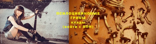 каннабис Медвежьегорск