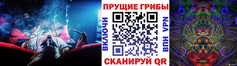 хочу   Нелидово  Галлюциногенные грибы GOLDEN TEACHER 